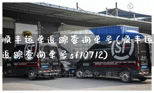 顺丰运单追踪查询单号(顺丰运单追踪查询单号sf10712)_https://www.senxinmaoyi.com_邮政编码_第1张