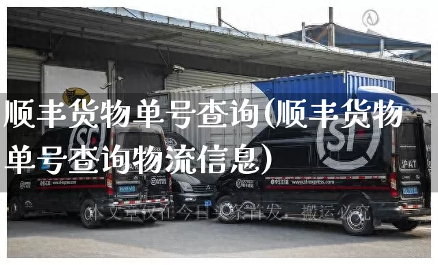 顺丰货物单号查询(顺丰货物单号查询物流信息)_https://www.senxinmaoyi.com_邮政编码_第1张