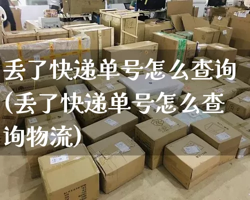 丢了快递单号怎么查询(丢了快递单号怎么查询物流)_https://www.senxinmaoyi.com_快递查询_第1张