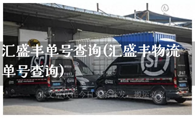 汇盛丰单号查询(汇盛丰物流单号查询)_https://www.senxinmaoyi.com_物流单号_第1张
