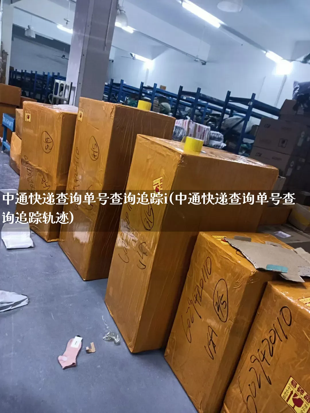 中通快递查询单号查询追踪i(中通快递查询单号查询追踪轨迹)_https://www.senxinmaoyi.com_邮政编码_第1张