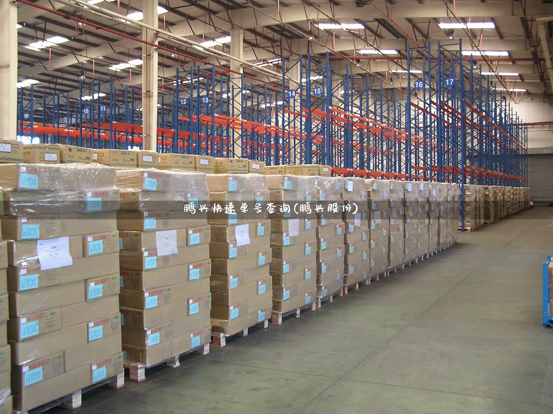 鹏兴快递单号查询(鹏兴股份)_https://www.senxinmaoyi.com_物流单号_第1张