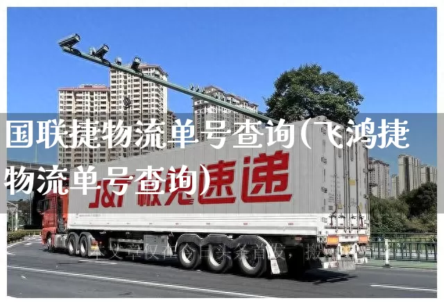 国联捷物流单号查询(飞鸿捷物流单号查询)_https://www.senxinmaoyi.com_物流单号_第1张