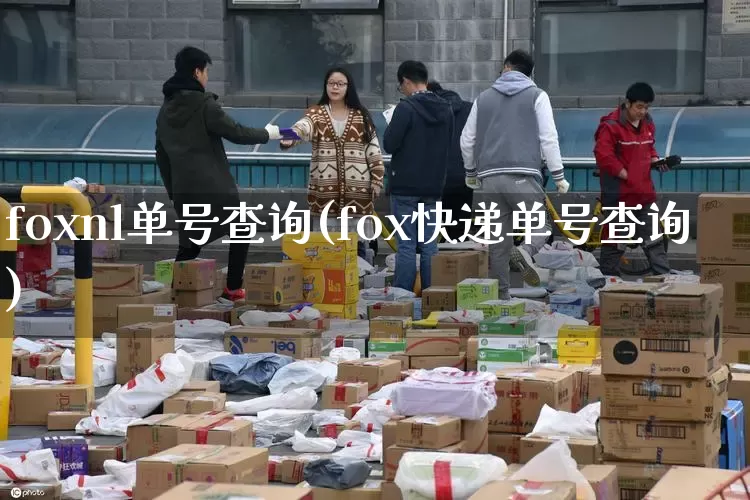 foxnl单号查询(fox快递单号查询)_https://www.senxinmaoyi.com_快递查询_第1张