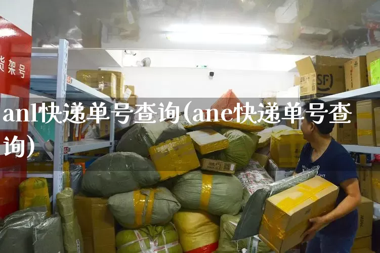 anl快递单号查询(ane快递单号查询)_https://www.senxinmaoyi.com_邮政编码_第1张