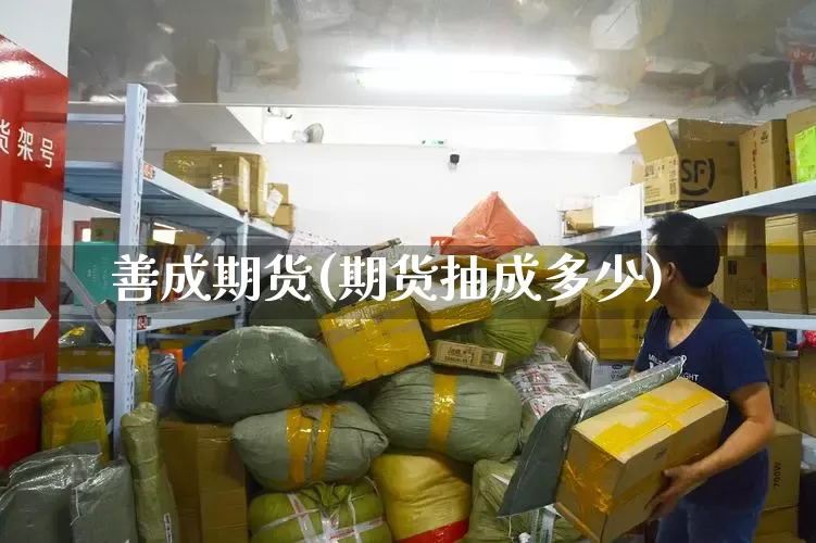 善成期货(期货抽成多少)_https://www.senxinmaoyi.com_快递查询_第1张