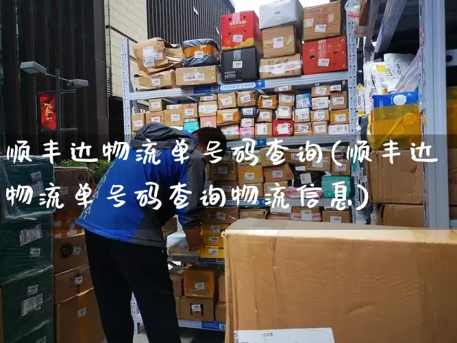顺丰达物流单号码查询(顺丰达物流单号码查询物流信息)_https://www.senxinmaoyi.com_快递查询_第1张