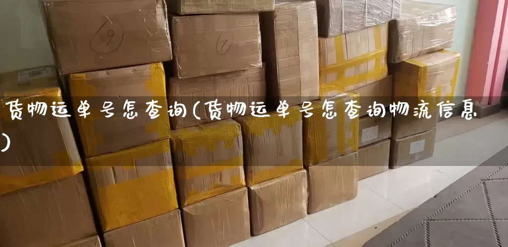 货物运单号怎查询(货物运单号怎查询物流信息)_https://www.senxinmaoyi.com_邮政编码_第1张