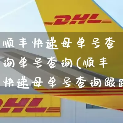 顺丰快递母单号查询单号查询(顺丰快递母单号查询跟踪号查询)_https://www.senxinmaoyi.com_物流查询_第1张
