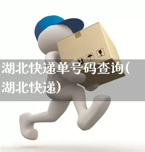 湖北快递单号码查询(湖北快递)_https://www.senxinmaoyi.com_物流单号_第1张