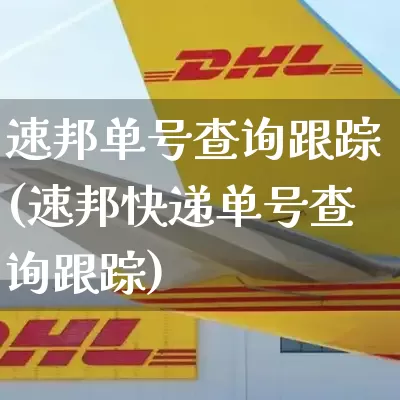 速邦单号查询跟踪(速邦快递单号查询跟踪)_https://www.senxinmaoyi.com_物流单号_第1张