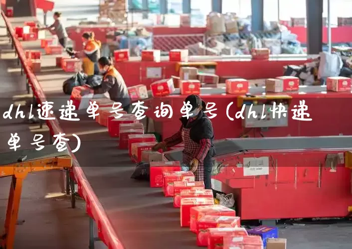 dhl速递单号查询单号(dhl快递单号查)_https://www.senxinmaoyi.com_物流查询_第1张