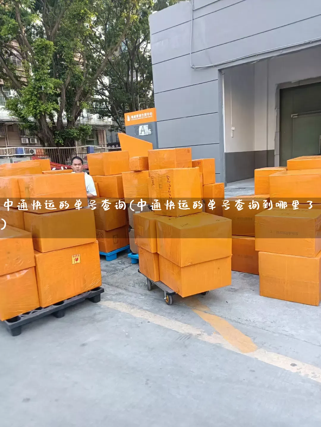 中通快运的单号查询(中通快运的单号查询到哪里了)_https://www.senxinmaoyi.com_物流单号_第1张