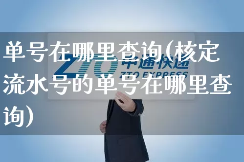 单号在哪里查询(核定流水号的单号在哪里查询)_https://www.senxinmaoyi.com_快递查询_第1张