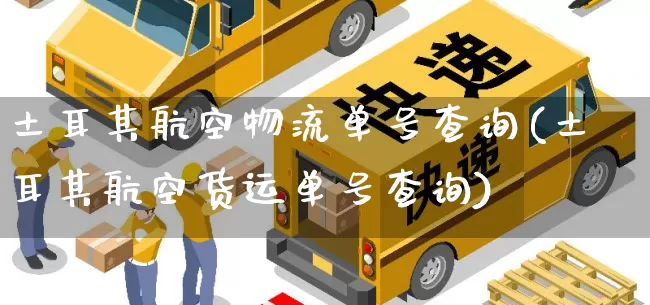 土耳其航空物流单号查询(土耳其航空货运单号查询)_https://www.senxinmaoyi.com_邮政编码_第1张