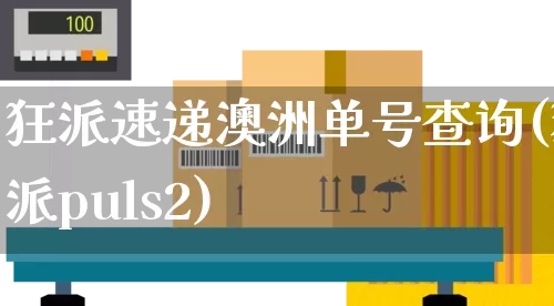 狂派速递澳洲单号查询(狂派puls2)_https://www.senxinmaoyi.com_邮政编码_第1张
