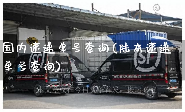 国内速递单号查询(陆本速递单号查询)_https://www.senxinmaoyi.com_快递查询_第1张