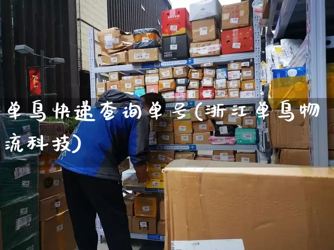 单鸟快递查询单号(浙江单鸟物流科技)_https://www.senxinmaoyi.com_邮政编码_第1张