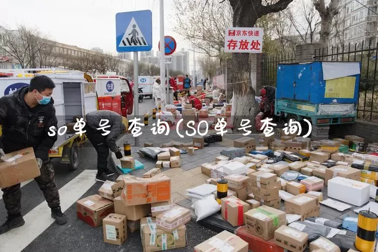 so单号 查询(SO单号查询)_https://www.senxinmaoyi.com_物流查询_第1张