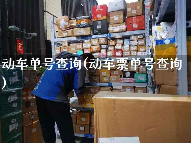 动车单号查询(动车票单号查询)_https://www.senxinmaoyi.com_物流单号_第1张