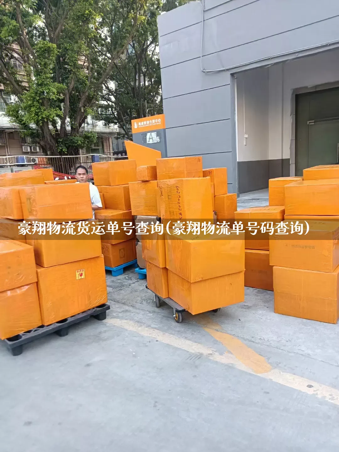 豪翔物流货运单号查询(豪翔物流单号码查询)_https://www.senxinmaoyi.com_物流单号_第1张