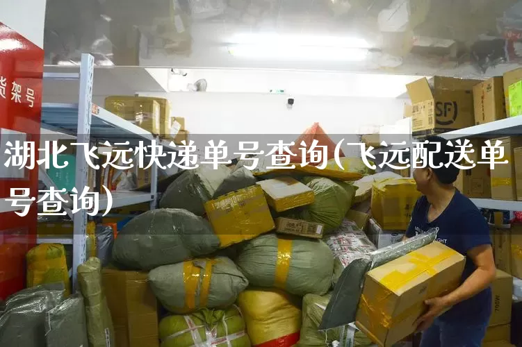 湖北飞远快递单号查询(飞远配送单号查询)_https://www.senxinmaoyi.com_快递查询_第1张
