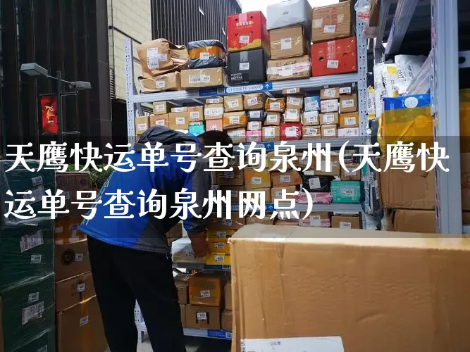 天鹰快运单号查询泉州(天鹰快运单号查询泉州网点)_https://www.senxinmaoyi.com_物流单号_第1张