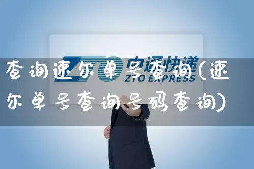 查询速尔单号查询(速尔单号查询号码查询)_https://www.senxinmaoyi.com_快递查询_第1张