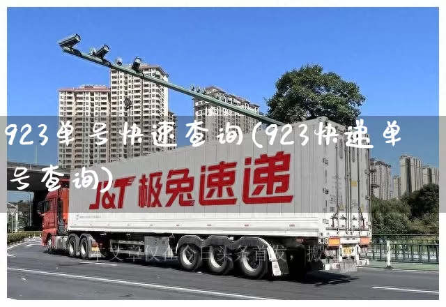 923单号快速查询(923快递单号查询)_https://www.senxinmaoyi.com_物流单号_第1张