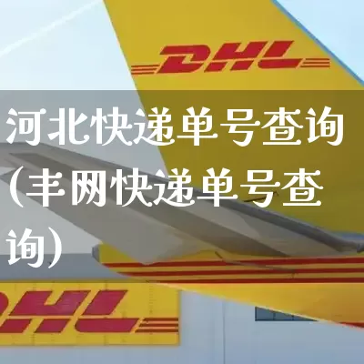 河北快递单号查询(丰网快递单号查询)_https://www.senxinmaoyi.com_物流查询_第1张