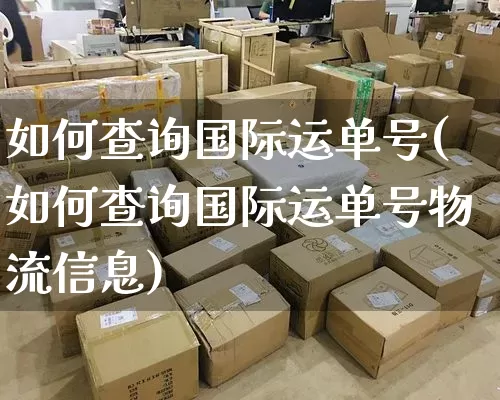 如何查询国际运单号(如何查询国际运单号物流信息)_https://www.senxinmaoyi.com_邮政编码_第1张