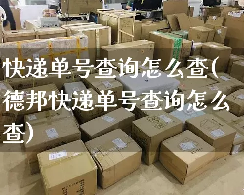 快递单号查询怎么查(德邦快递单号查询怎么查)_https://www.senxinmaoyi.com_物流查询_第1张
