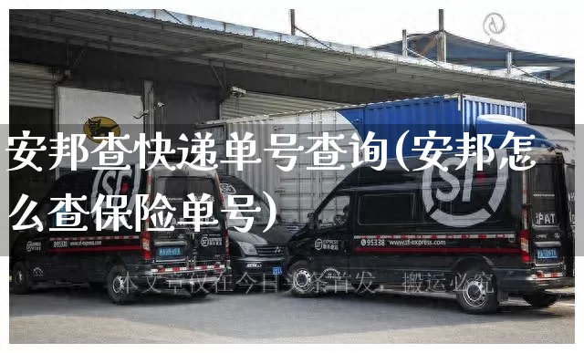安邦查快递单号查询(安邦怎么查保险单号)_https://www.senxinmaoyi.com_物流单号_第1张