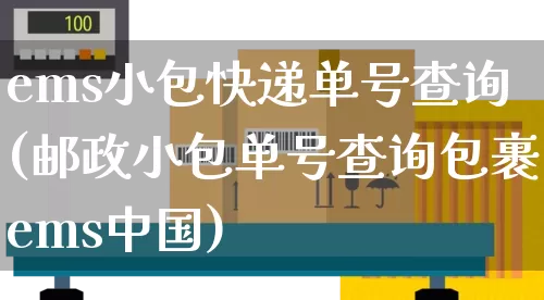 ems小包快递单号查询(邮政小包单号查询包裹ems中国)_https://www.senxinmaoyi.com_邮政编码_第1张