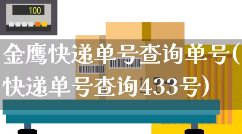 金鹰快递单号查询单号(快递单号查询433号)_https://www.senxinmaoyi.com_快递查询_第1张
