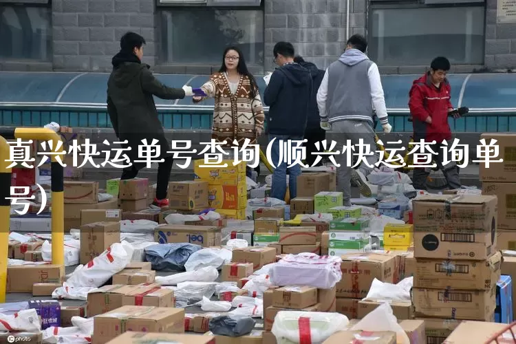 真兴快运单号查询(顺兴快运查询单号)_https://www.senxinmaoyi.com_物流单号_第1张