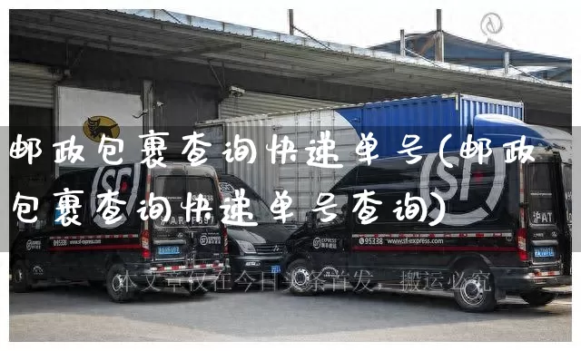 邮政包裹查询快递单号(邮政包裹查询快递单号查询)_https://www.senxinmaoyi.com_物流单号_第1张