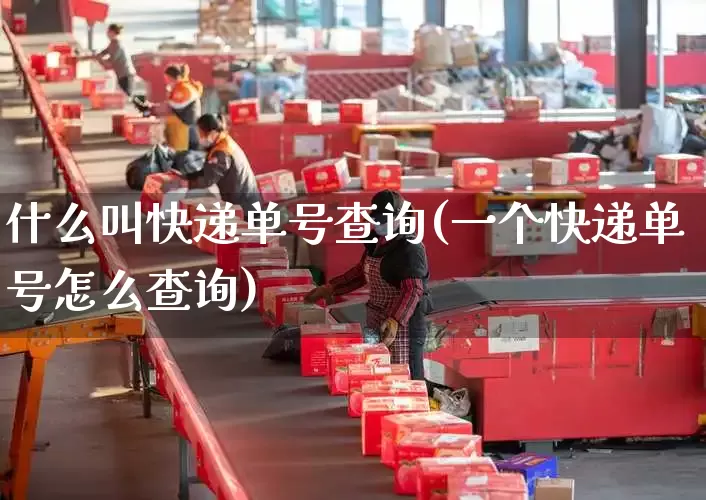 什么叫快递单号查询(一个快递单号怎么查询)_https://www.senxinmaoyi.com_物流单号_第1张