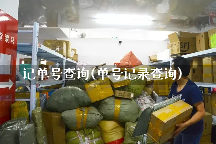 记单号查询(单号记录查询)_https://www.senxinmaoyi.com_快递查询_第1张