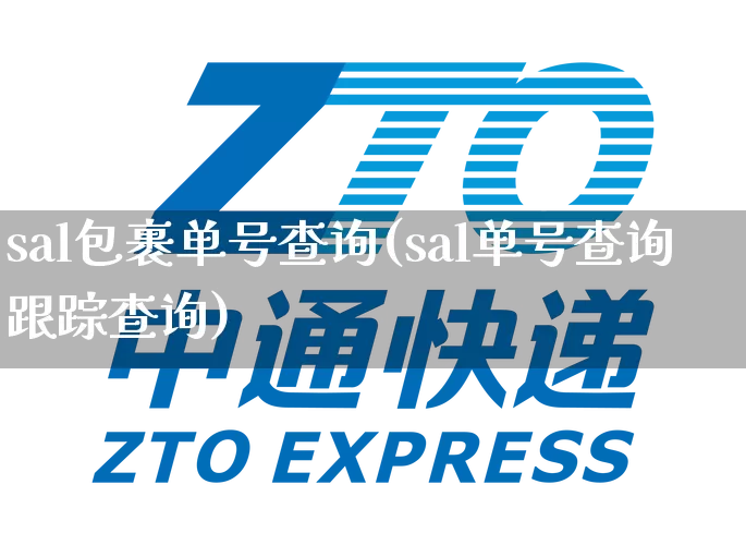 sal包裹单号查询(sal单号查询跟踪查询)_https://www.senxinmaoyi.com_物流单号_第1张