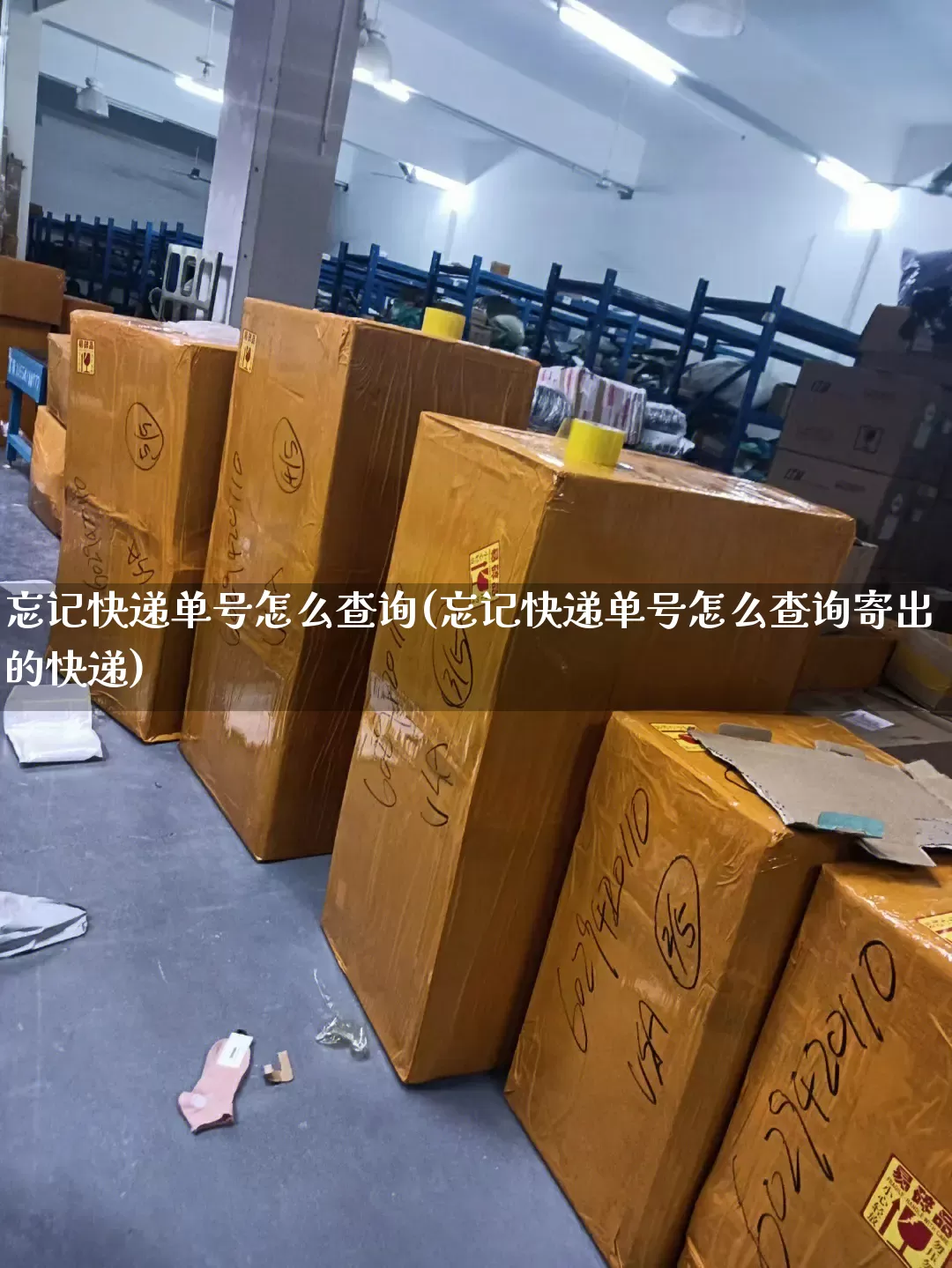 忘记快递单号怎么查询(忘记快递单号怎么查询寄出的快递)_https://www.senxinmaoyi.com_物流查询_第1张