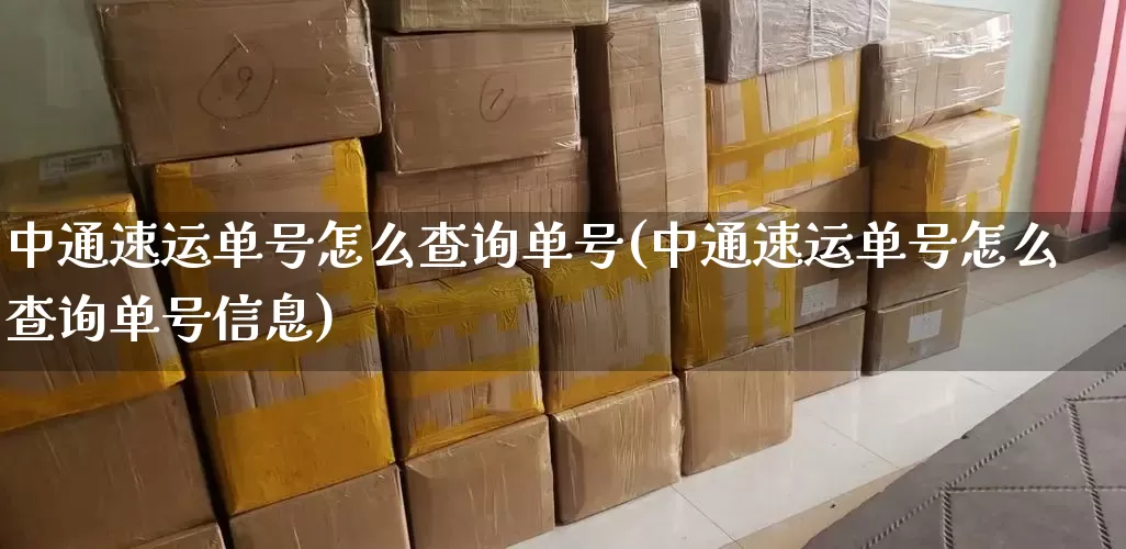 中通速运单号怎么查询单号(中通速运单号怎么查询单号信息)_https://www.senxinmaoyi.com_物流查询_第1张