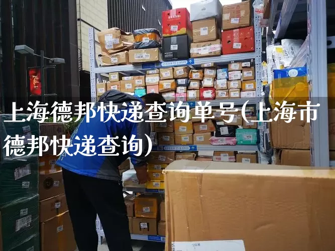 上海德邦快递查询单号(上海市德邦快递查询)_https://www.senxinmaoyi.com_物流查询_第1张