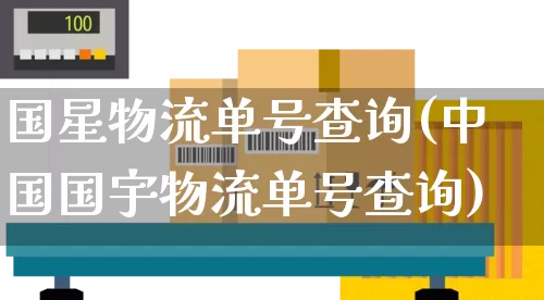 国星物流单号查询(中国国宇物流单号查询)_https://www.senxinmaoyi.com_物流单号_第1张