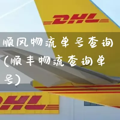 顺风物流单号查询(顺丰物流查询单号)_https://www.senxinmaoyi.com_快递查询_第1张