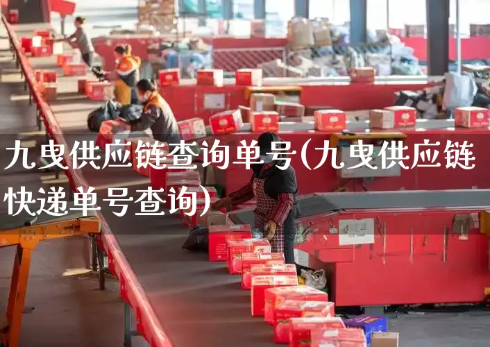 九曳供应链查询单号(九曳供应链快递单号查询)_https://www.senxinmaoyi.com_物流单号_第1张