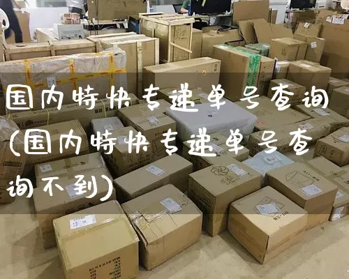 国内特快专递单号查询(国内特快专递单号查询不到)_https://www.senxinmaoyi.com_快递查询_第1张