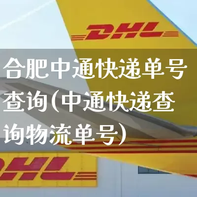 合肥中通快递单号查询(中通快递查询物流单号)_https://www.senxinmaoyi.com_物流查询_第1张
