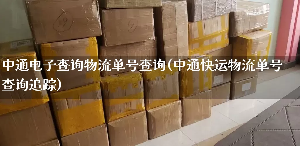 中通电子查询物流单号查询(中通快运物流单号查询追踪)_https://www.senxinmaoyi.com_邮政编码_第1张