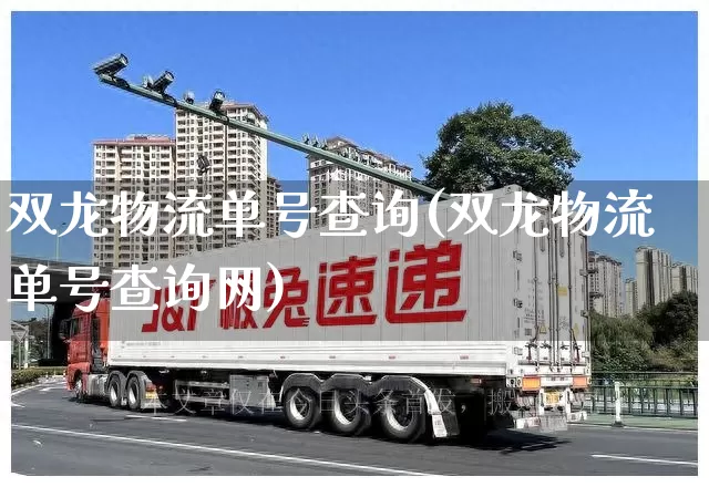 双龙物流单号查询(双龙物流单号查询网)_https://www.senxinmaoyi.com_快递查询_第1张